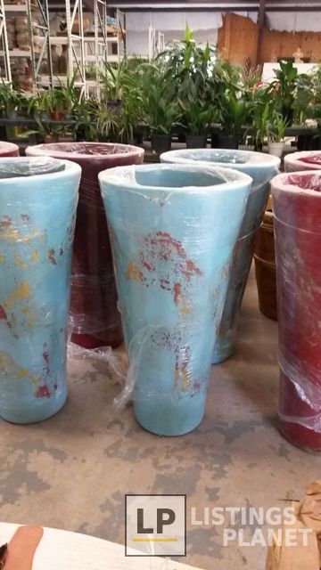 Texas Palm Trees and Irrigation LLC