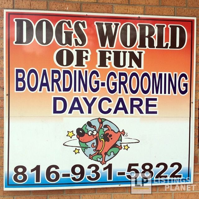 Dogs World Of Fun