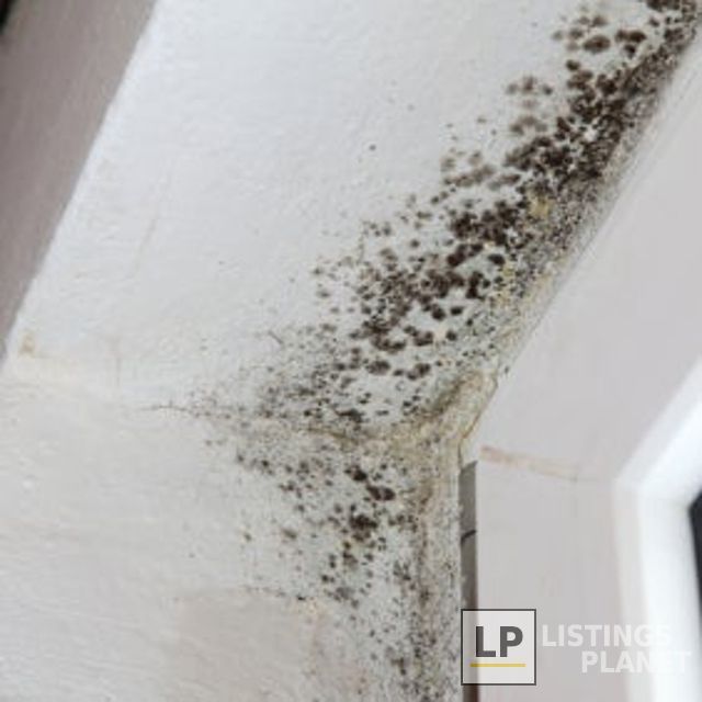 Absolute Waterproofing And Drainage Systems Inc