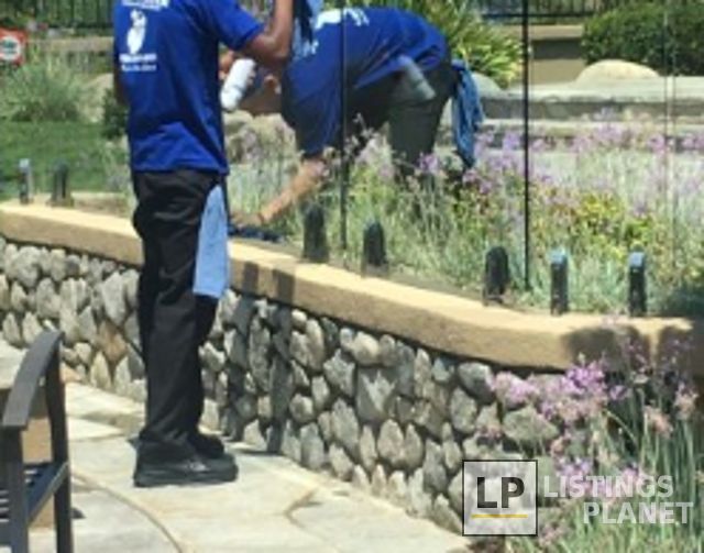 No Streak Window Cleaning