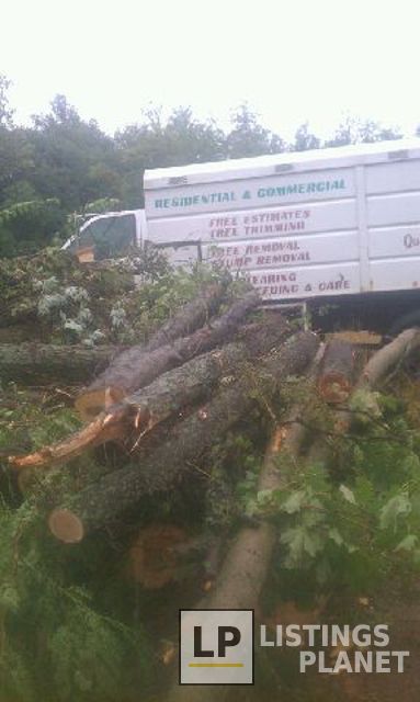 Cardinal Tree Service LLC