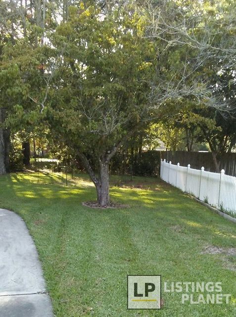 EWS Lawn Care
